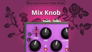 3. Eventide Rose - Mix Knob