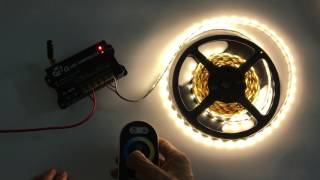 Variable White LED Strip Lights - 300X 5050 2in1 Color Temperature led tape lights