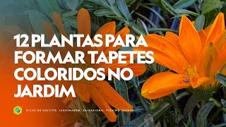 12 PLANTAS para formar TAPETES COLORIDOS no JARDIM