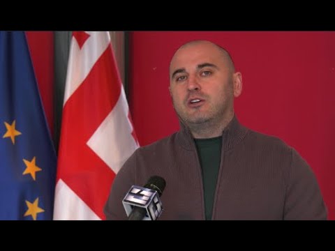 ყველაზე დიდი რუსული პარტია საქართველოში „ოცნებაა, რომელიც აფინანსებს პატარა პუტინისტებს - ხაბეიშვილი