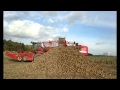 Die Landboden Parmen Treuhand GmbH mit der Foto- und Filmkamera 2013 gesehen - von Agroplant-Film