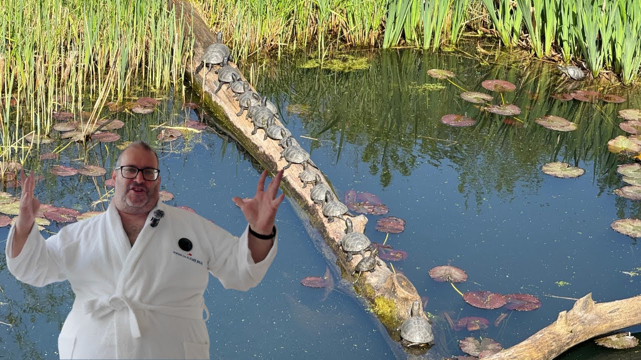 Vloging Attempt - Nature and Animal Park Arth Goldau