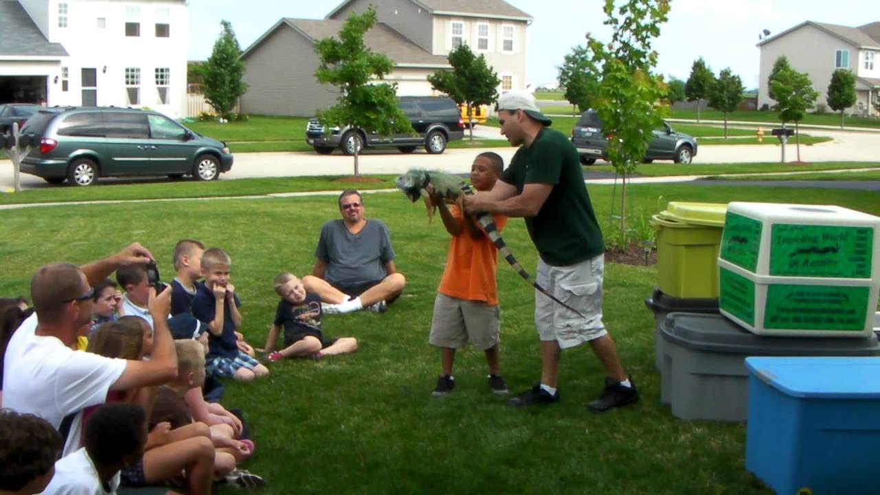 Dave DiNaso's Traveling World of Reptiles at Ty and DJ's party - YouTube