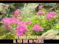 Jenny Rosero - La Guayabita Karaoke