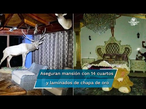Aseguran a la Familia Michoacana mansiones con lagos artificiales, autos de lujo y animales exóticos