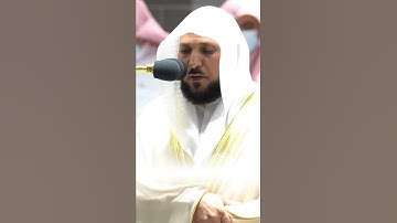 إِنَّ ٱللَّهَ وَمَلَٰٓئِكَتَهُۥ يُصَلُّونَ عَلَى ٱلنَّبِىِّ ۚ - القارئ ماهر المعيقلي