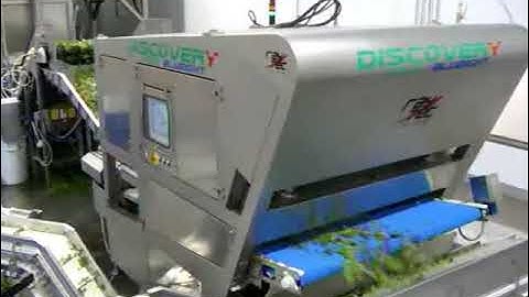 Discovery optical sorter: Spring Mix fresh cut salad sorting | RAYTEC VISION SpA