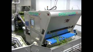 Discovery optical sorter: Spring Mix fresh cut salad sorting | RAYTEC VISION SpA