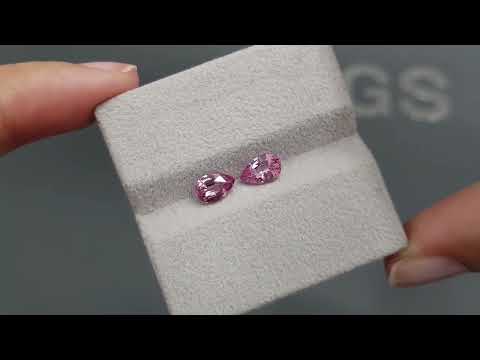 Pair of pink spinels in pear cut 1.51 carats, Tajikistan Video  № 2