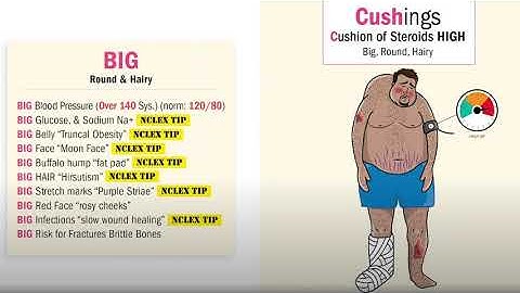 Thumbnail of Addison's and Cushing's Study Song