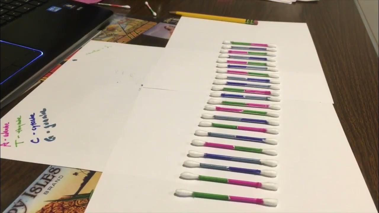 Easy DNA model YouTube