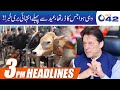 Bad News Before Eid-ul-Azha | 3pm News Headlines  |12 Jul 2020 |  City 42