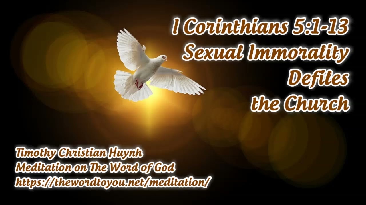 Timothy I Corinthians 5 1 13 Sexual Immorality Defiles The Church Timothy I Corinthians 5 1 13 Sexual Immorality Defiles The Church