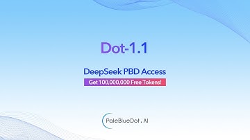 Dot-1.1 DeepSeek PBD Access
