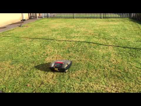 Robolinho Robotic Lawnmower