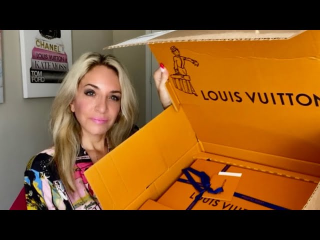 Louis Vuitton Insolite Organizer Unboxing & Review 