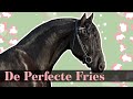 Hoe zou het perfecte Friese paard eruit moeten zien ?