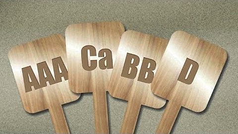 Credit rating agencies