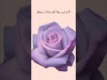 لقد وصلتك رسالة