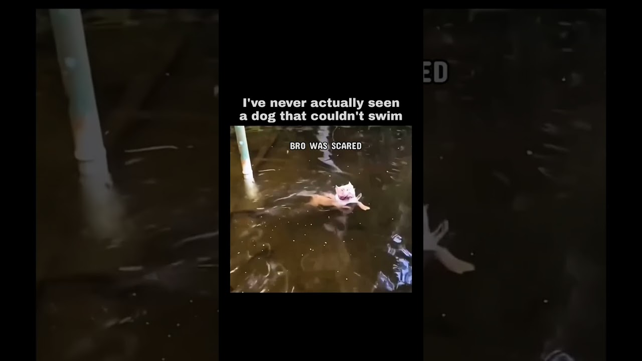 The panic on his face 😭 