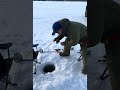 242026 #icefishing #fishing #canadalife #highlights #shorts #youtubeshorts #shortvideo #winter