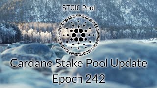 STOIC Pool Update: Epoch 242 - Cardano Beginner's Guide & Low Yield Epochs