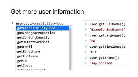 Get Fiori User ID via Chrome DevTools