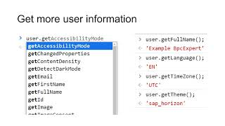 Get Fiori User ID via Chrome DevTools