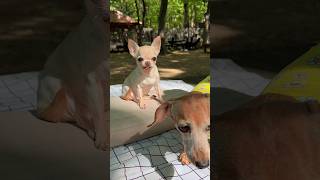 시간아 멈춰줘. ( 14살 #찌기대기 )