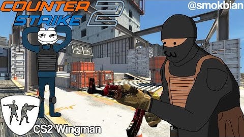 The Average Wingman Experience - CS2