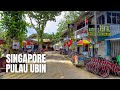 Pulau Ubin Singapore Walking Tour【2019】/ 乌敏岛 新加坡徒步旅行【2019】/உபின் தீவு【2019】