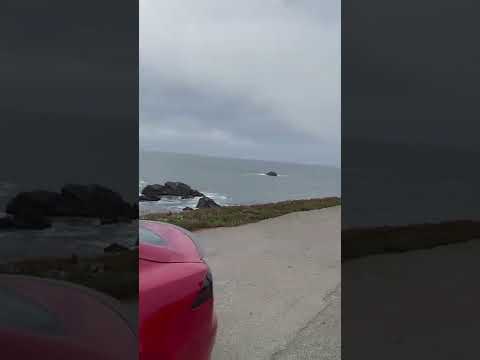 Video: Sonoma Coast State Park: Толук жол