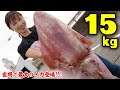 【巨大】海に潜む15kgのお化けイカ！？世界最大？の一夜干しを作ってみよう！お味はイカに・・・