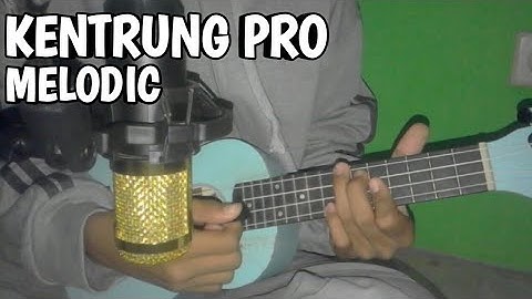 Kentrung Pro Melodic - Cover Ukulele - Hideki