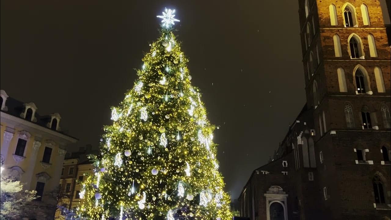 Kraków zapalenie choinki 🎄☃️🎁 na Rynku Głównym przez Prezydenta Miasta
