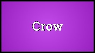Crow Meaning