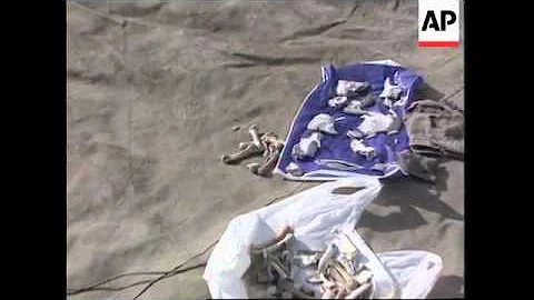 Bosnia - Exhumation Of Mass Grave