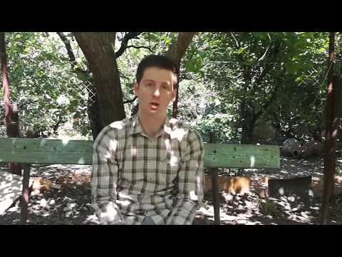 როგორ ჩავერთოთ ნეტო აღრიცხვის პროგრამაში?