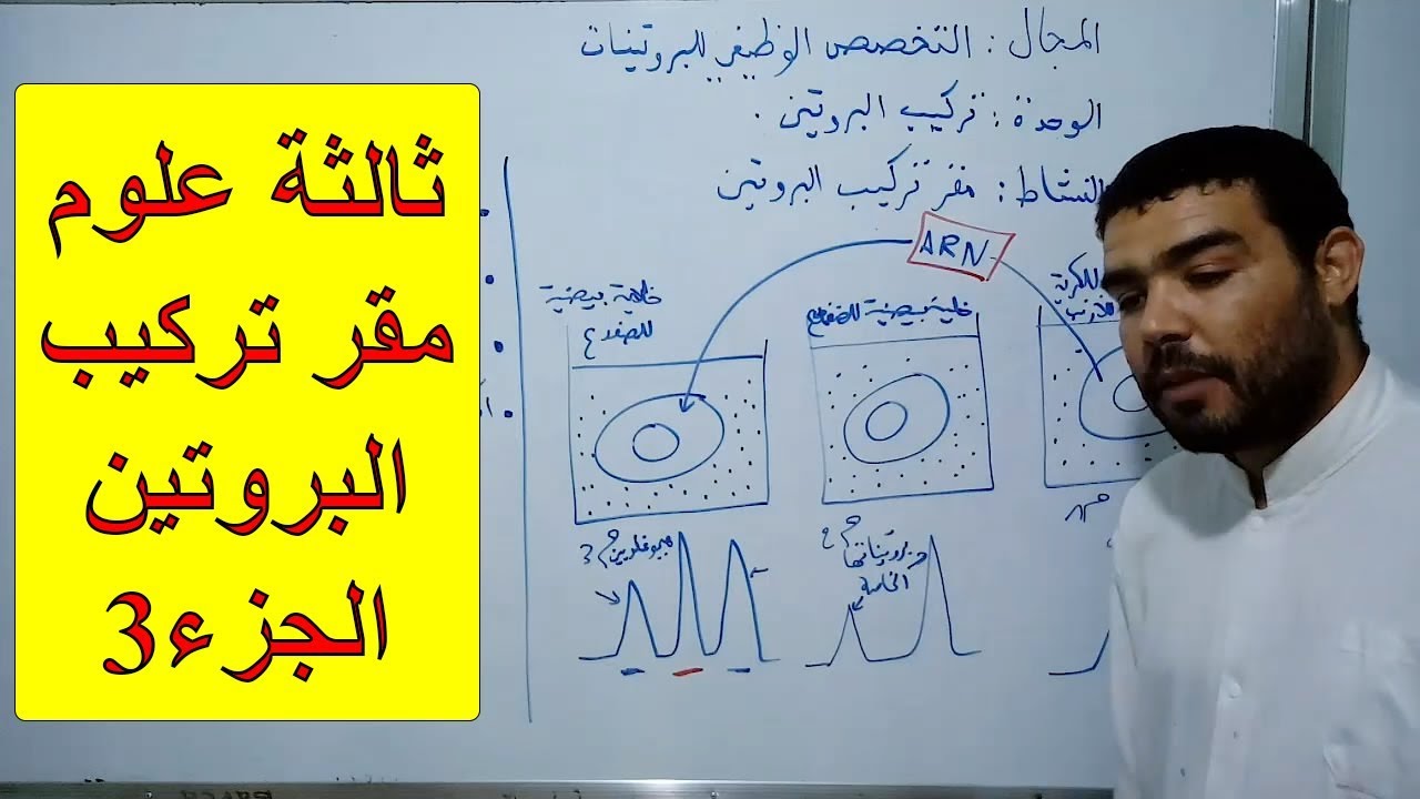 مقر تركيب البروتين (الجزء 3) [الدرس 86]