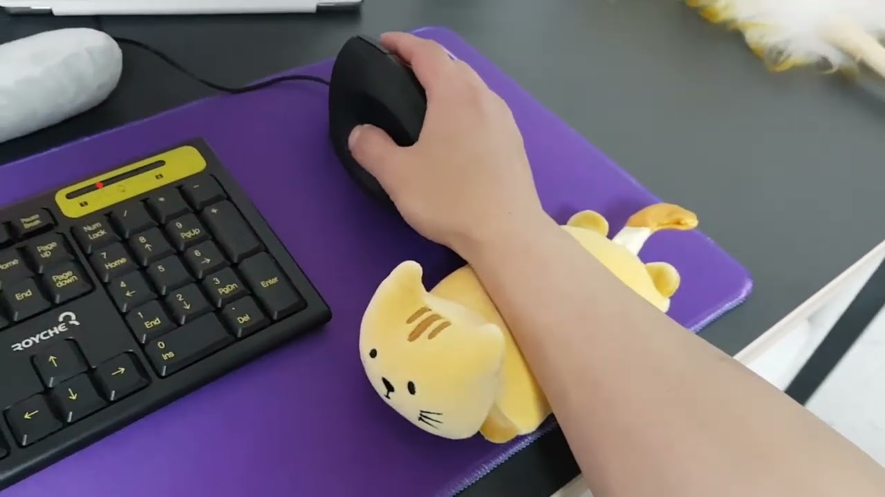 다이소 - 고양이 디자인의 말랑이 마우스 손목쿠션 - Youtube