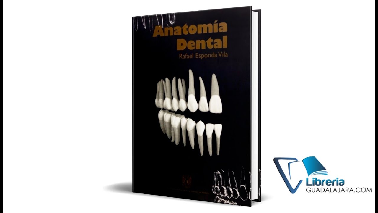 Libro De Anatomia Dental Rafael Esponda Vila