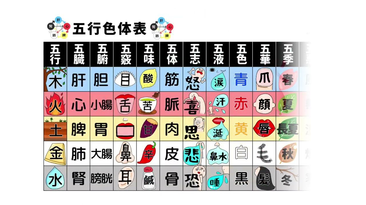 【東洋医学入門】五行色体表とは？！
