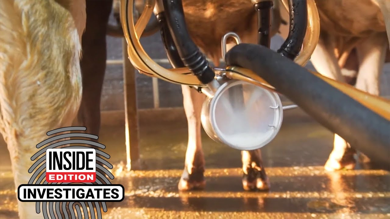 Is Raw Milk Safe to Drink?