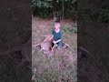 2023 deer season. #deerhunting #georgia #wma #deer #2023shorts