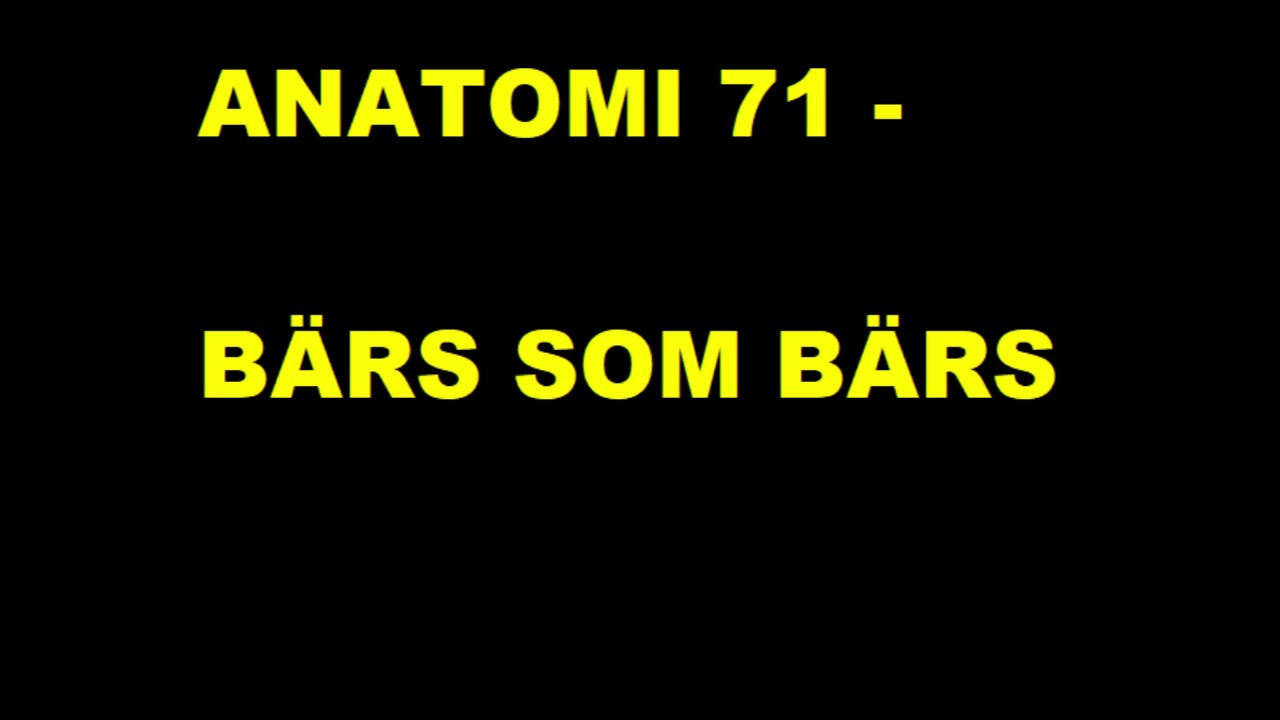 Anatomi 71   Bärs som bärs