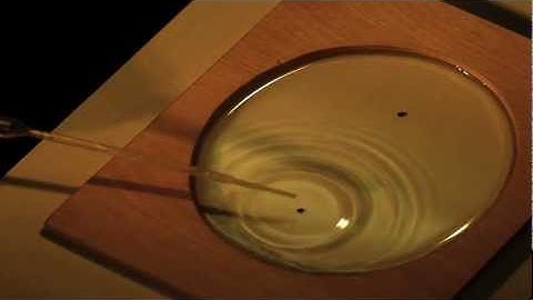 Réflexion au foyer d