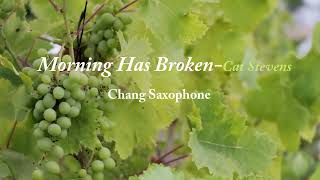 Morning has broken, Cat Stevens,Alto saxophone