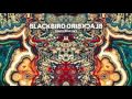 Blackbird Blackbird - Love Unlimited