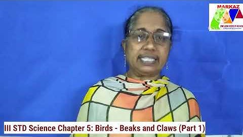 III STD Science Chapter 5: Birds - Beaks and Claws (Part 1)