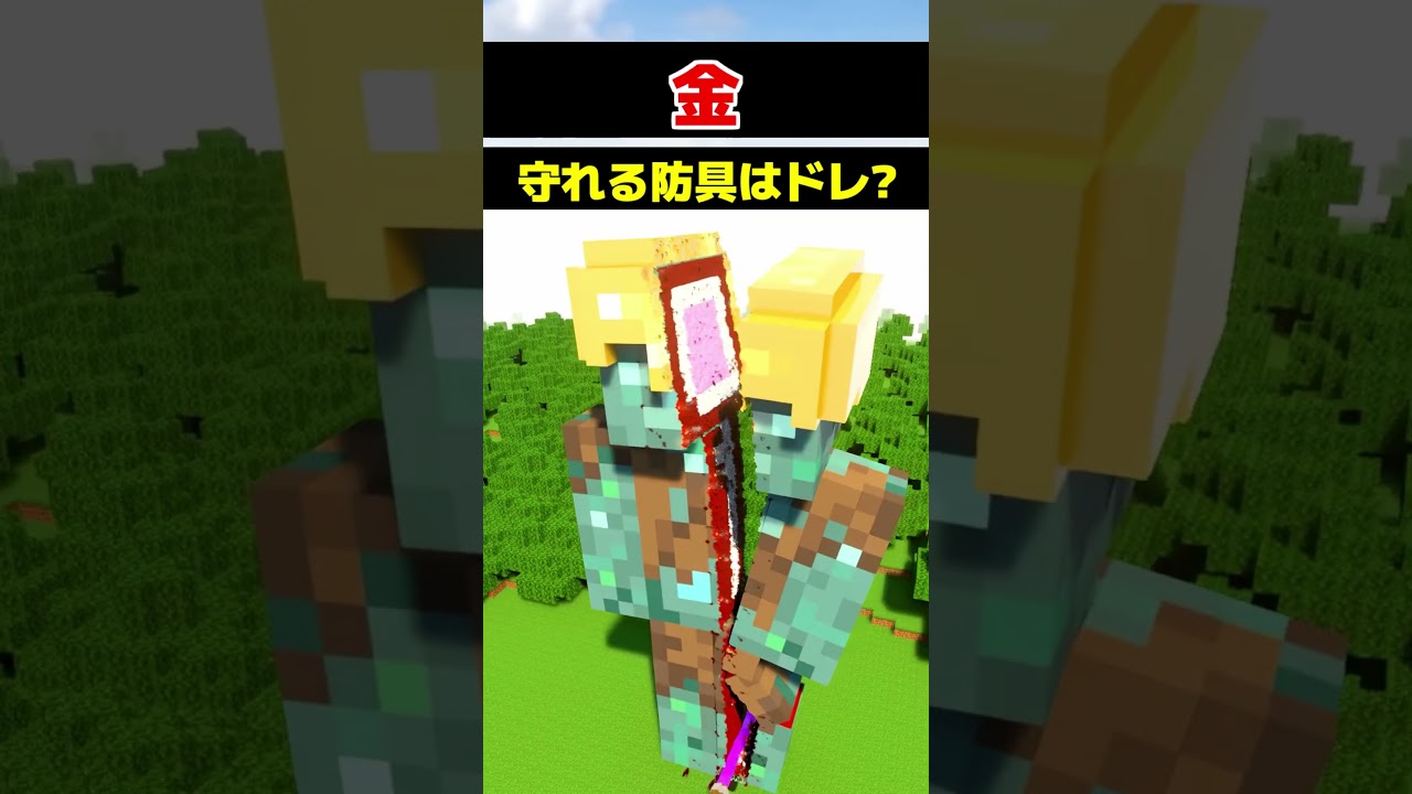 ゾンビを守れる防具はドレ？ #shorts #minecraft #マイクラ